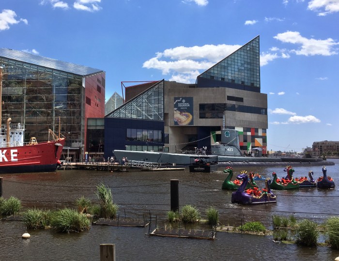 Aquarium baltimore maryland trekaroo