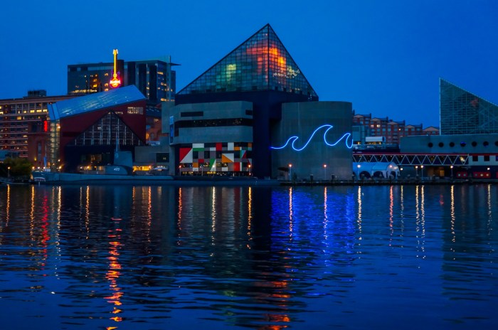 Aquarium baltimore national now then impact